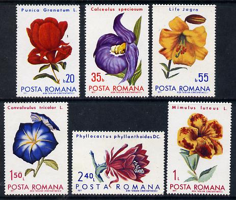 Rumania 1971 Flowers set of 6 unmounted mint, SG 3818-23, Mi 2940-45, stamps on flowers