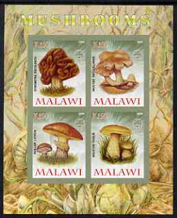 Malawi 2008 Fungi #3 imperf sheetlet containing 4 values, each with Scout logo unmounted mint, stamps on fungi, stamps on scouts