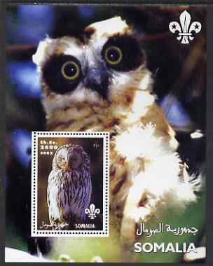 Somalia 2002 Owls #2 perf s/sheet with Scouts Logo, unmounted mint, stamps on birds, stamps on birds of prey, stamps on scouts, stamps on owls