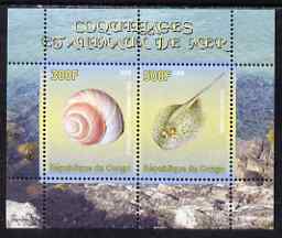 Congo 2008 Shells & Marine Life #3 perf sheetlet containing 2 values unmounted mint, stamps on marine life, stamps on shells