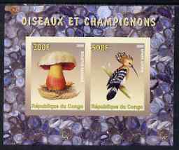 Congo 2008 Birds & Mushrooms #1 imperf sheetlet containing 2 values unmounted mint, stamps on birds, stamps on fungi