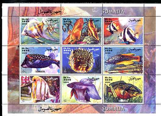 Somalia 2000 Exotic Fish #2 perf sheetlet containing set of 9 values unmounted mint. Note this item is privately produced and is offered purely on its thematic appeal, stamps on fish