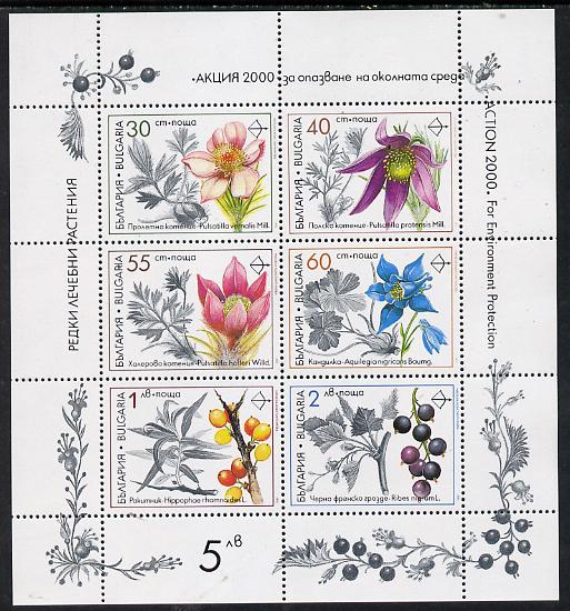 Bulgaria 1991 Medicinal Plants sheetlet containing set of 6 unmounted mint, SG 3793-98 (Mi 3953-58), stamps on flowers   medical, stamps on medicinal plants
