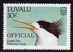 Tuvalu 1989 Crested Tern 30c opt'd OFFICIAL unmounted mint, SG O40, stamps on birds