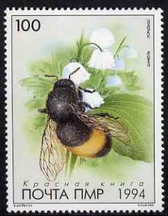 Dnister Moldavian Republic (NMP) 1994 Bumble Bee 100L unmounted mint, stamps on insects, stamps on bees, stamps on honey