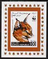 Somalia 1998 WWF - Caracal Lynx 100sh imperf individual de-luxe sheetlet, unmounted mint. Note this item is privately produced and is offered purely on its thematic appeal, stamps on animals, stamps on cats, stamps on  wwf , stamps on 