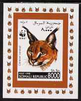 Somalia 1998 WWF - Caracal Lynx 8000sh imperf individual de-luxe sheetlet, unmounted mint. Note this item is privately produced and is offered purely on its thematic appeal, stamps on animals, stamps on cats, stamps on  wwf , stamps on 