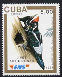 Cuba 1991 Express Mail Stamp - 5p Ivory-Billed Woodpecker unmounted mint SG E3642, stamps on birds, stamps on woodpeckers