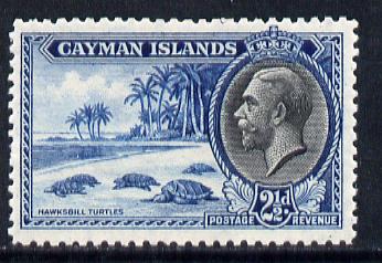Cayman Islands 1935 Hawksbill Turtles KG5 2.5d unmounted mint SG 101, stamps on animals, stamps on  kg5 , stamps on reptiles, stamps on turtles