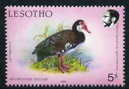 Lesotho 1988 Birds 5s Spurwing Goose unmounted mint, SG 793*, stamps on birds, stamps on geese