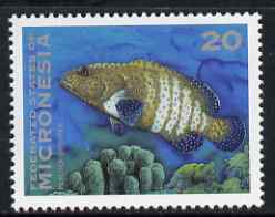 Micronesia 1993-96 Grouper 20c unmounted mint, SG 277, stamps on fish