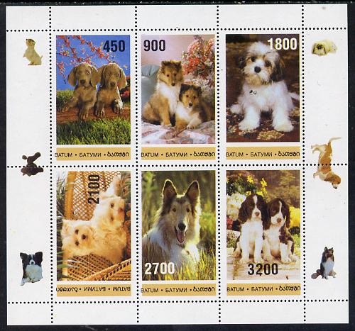Batum 1996 Dogs perf sheet containing 6 values unmounted mint, stamps on animals, stamps on dogs, stamps on collie, stamps on poodle, stamps on spaniel, stamps on weimaraner