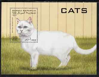 Somalia 1997 Domestic Cats perf m/sheet unmounted mint. Note this item is privately produced and is offered purely on its thematic appeal, stamps on cats
