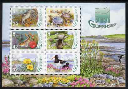 Guernsey 2006 Designation of LEree Wetland as Ramsar Site perf m/sheet unmounted mint, SG MS 1129, stamps on animals, stamps on seals, stamps on shells, stamps on marine life, stamps on fish, stamps on flowers, stamps on birds, stamps on 