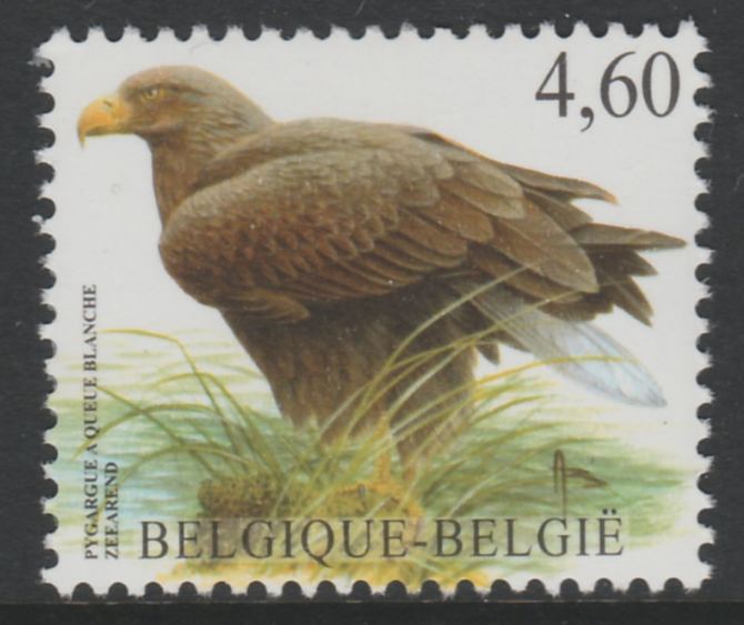 Belgium 2002-09 Birds #5 White-Tailed Eagle 4.60 Euro unmounted mint SG3708c, stamps on , stamps on  stamps on birds, stamps on  stamps on birds of prey, stamps on  stamps on eagles