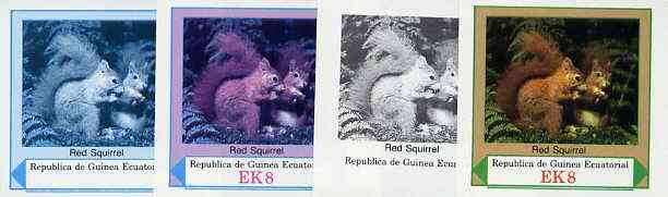 Equatorial Guinea 1977 European Animals EK8 (Red Squirrel) set of 4 imperf progressive proofs on ungummed paper comprising 1, 2, 3 and all 4 colours (as Mi 1140), stamps on animals           squirrels     rodents