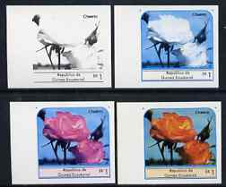 Equatorial Guinea 1976 Roses EK1 (Cheerio) set of 4 imperf progressive proofs on ungummed paper comprising 1, 2, 3 and all 4 colours (as Mi 972) , stamps on flowers    roses