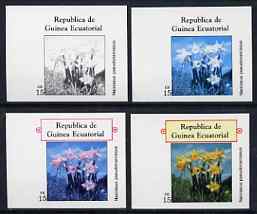 Equatorial Guinea 1977 Flowers EK15 (Narcissus) set of 4 imperf progressive proofs on ungummed paper comprising 1, 2, 3 and all 4 colours (as Mi 1217) , stamps on flowers