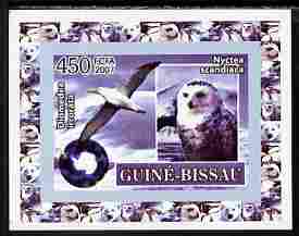 Guinea - Bissau 2007 International Polar Year - Birds #4 imperf individual deluxe sheet unmounted mint. Note this item is privately produced and is offered purely on its thematic appeal, stamps on , stamps on  stamps on polar, stamps on  stamps on birds, stamps on  stamps on owls, stamps on  stamps on birds of prey