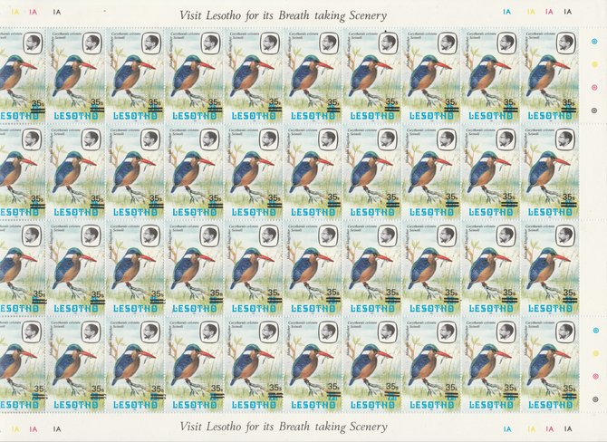 Lesotho 1986-88 Provisional surcharge 35s on 25s Malachite Kingfisher, the complete sheet of 40 with the scarce 1981 imprint date (SG720b) and containing 11 examples of the small \D5s\D5 variety found in positions 1/5, 1/6, 1/8, 1/9, 2/6, 2/7, 2/8, 3/5,4/4, 4/6, and 4/8. The total catalogue value is thus 11 x \A3100 plus 29 x \A350 = \A32,550 and offered here at less than 16% of cat value, stamps on flags, stamps on maps   