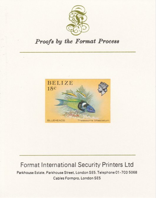 Belize 1984-88 Blueheads 15c def imperf proof mounted on Format International proof card as SG 773, stamps on fish     marine-life