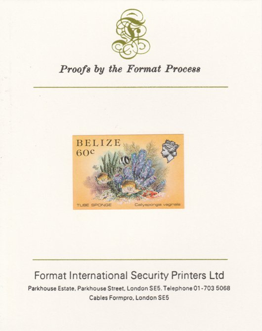 Belize 1984-88 Tube Sponge 60c def imperf proof mounted on Format International proof card as SG 776, stamps on marine-life