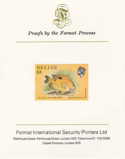 Belize 1984-88 Damselfish $5 def imperf proof mounted on Format International proof card as SG 780, stamps on fish     marine-life