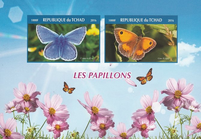Chad 2016 Butterflies #1 imperf sheetlet containing 2 values unmounted mint. Note this item is privately produced and is offered purely on its thematic appeal. . , stamps on butterflies
