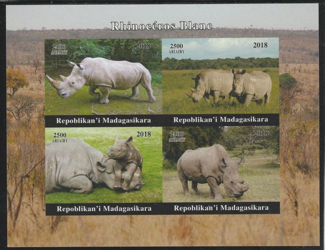 Madagascar 2018 Rhinos imperf sheetlet containing 4 values unmounted mint. Note this item is privately produced and is offered purely on its thematic appeal., stamps on animals, stamps on rhinos, stamps on rhinoceros