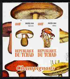 Chad 2010 Mushrooms #2 imperf sheetlet containing 2 values unmounted mint, stamps on , stamps on  stamps on fungi
