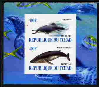 Chad 2010 Whales & Dolphins imperf sheetlet containing 2 values unmounted mint, stamps on , stamps on  stamps on animals, stamps on  stamps on marine life, stamps on  stamps on whales, stamps on  stamps on dolphins