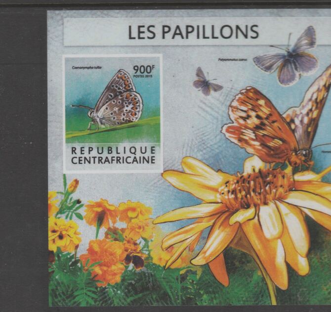 Central African Republic 2015 Butterflies #7 imperf s/sheet unmounted mint. Note this item is privately produced and is offered purely on its thematic appeal, stamps on butterflies, stamps on 