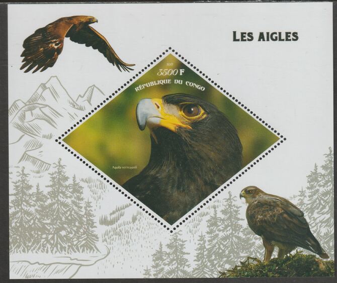 Congo 2019 Eagles perf m/sheet containing one diamond shaped value unmounted mint, stamps on shaped, stamps on diamond, stamps on birds, stamps on eagles, stamps on birds of prey