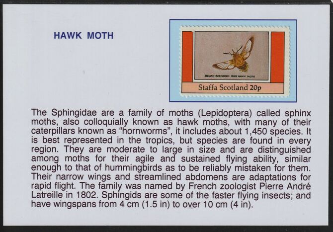 Staffa 1982 Insects -Hawk Moth 20p mounted on glossy card with descriptive notes - privately produced 150mm x 100mm, stamps on , stamps on  stamps on insects, stamps on  stamps on moths