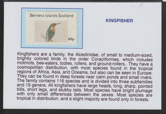 Bernera 1981 Birds - Kingfisher 40p mounted on glossy card with descriptive notes - privately produced 150mm x 100mm, stamps on , stamps on  stamps on birds, stamps on  stamps on kingfishers