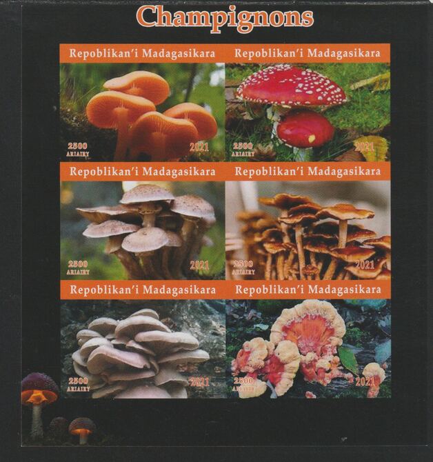 Madagascar 2021 Mushrooms imperf sheetlet containing  set of 6 values unmounted mint, privately produced offered purely on its thematic appeal, stamps on fungi