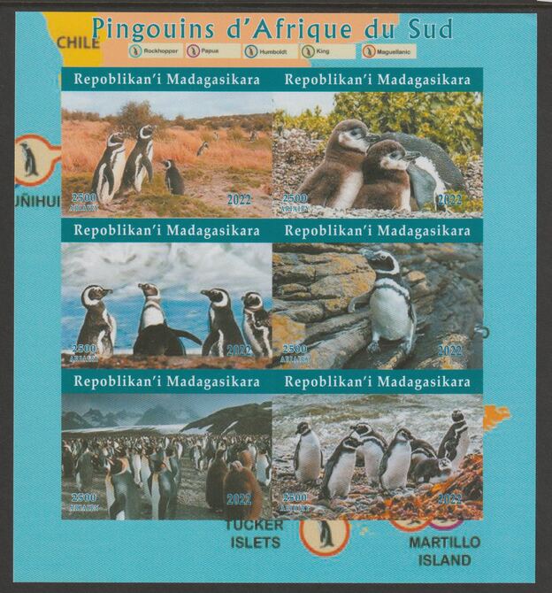 Madagascar 2022 Penguins of South Africa imperf sheetlet containing  set of 6 values unmounted mint, privately produced offered purely on its thematic appeal, stamps on birds, stamps on penguins