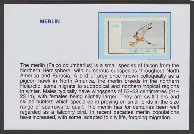 Staffa 1982 Birds of Prey- Merlin 60p mounted on glossy card with historical notes - privately produced 150mm x 100mm, stamps on birds, stamps on birds of prey, stamps on merlin