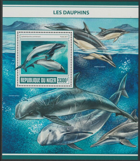 Niger Republic 2017 Dolphins perf souvenir sheet containing one value unmounted mint, stamps on , stamps on  stamps on marine life, stamps on  stamps on dolphins