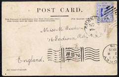 New South Wales 1905 picture postcard (Bullock Team) to UK bearing 2d tied Dunnedar cds, fine, stamps on 