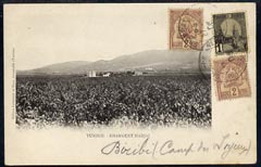 Tunisia 1906 picture postcard to Paris, stamps on 