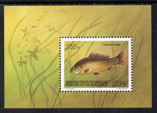 Kyrgyzstan 1994 Fish m/sheet (Carp) unmounted mint, stamps on fish     marine-life