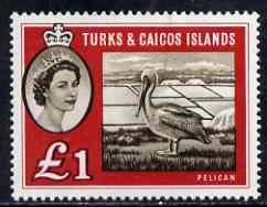 Turks & Caicos Islands 1960 Brown Pelican \A31 unmounted mint SG 253, stamps on birds, stamps on pelicans