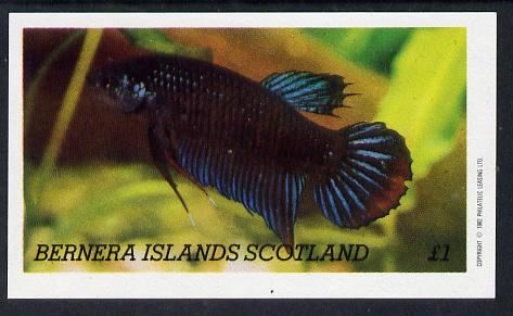Bernera 1982 Tropical Fish imperf souvenir sheet (Â£1 value) unmounted mint, stamps on fish     marine-life