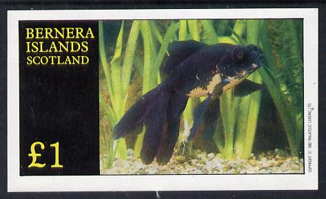 Bernera 1982 Ornamental Fish imperf souvenir sheet (Â£1 value) unmounted mint, stamps on fish     marine-life