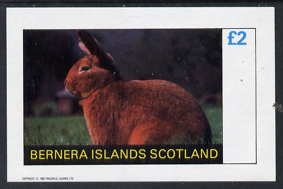 Bernera 1982 Rabbits imperf deluxe sheet (Â£2 value) unmounted mint, stamps on , stamps on  stamps on animals     rabbits