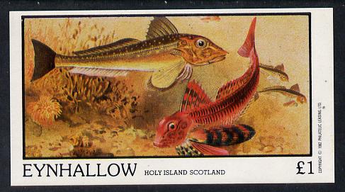 Eynhallow 1982 Fish #04 imperf souvenir sheet (Â£1 value) unmounted mint, stamps on fish     marine-life