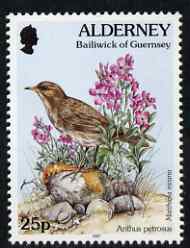 Guernsey - Alderney 1994-98 Flora & Fauna Defs 25p Rock Pipit & Sea Stock unmounted mint SG A72b, stamps on , stamps on  stamps on flowers, stamps on  stamps on birds, stamps on  stamps on 