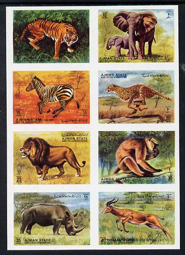 Ajman 1972 Animals imperf set of 8 unmounted mint, Mi 1304-11B, stamps on animals, stamps on cats, stamps on elephants, stamps on zebra, stamps on lions, stamps on tiger, stamps on apes, stamps on tigers