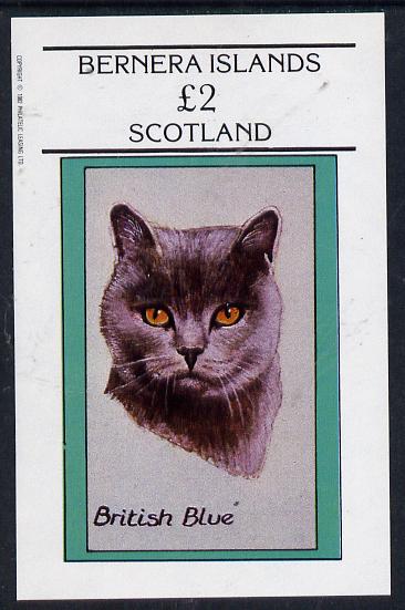 Bernera 1982 Cats (British Blue) imperf deluxe sheet (Â£2 value) unmounted mint, stamps on animals   cats